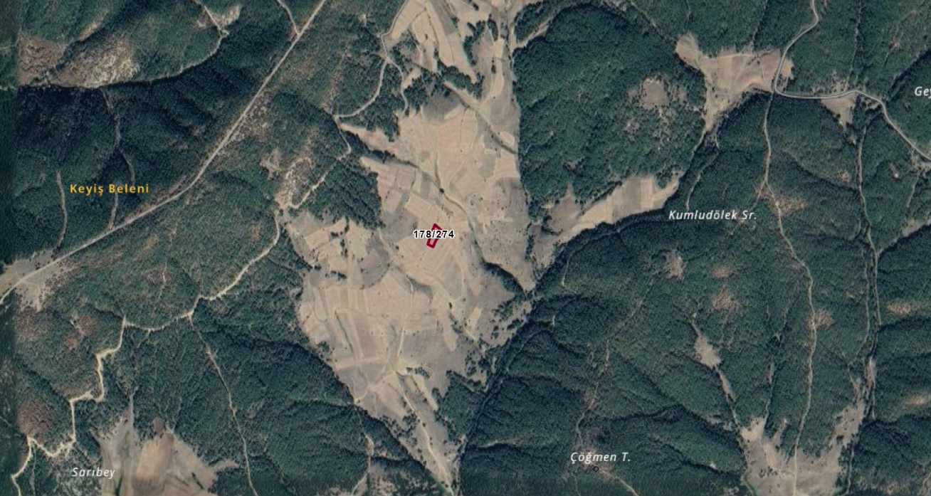 YOZGAT ÇAYIRALAN Y.YAHYASARAY KÖYÜNDE 2.601 M² TARLA SATILIKTIR. - YOZGAT ÇAYIRALAN fotoğraf 3
